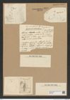 Diatomeae indet. Zeichnungen Sammlung Grunow Nr. 8239 (NHMW-BOT-W0377631)